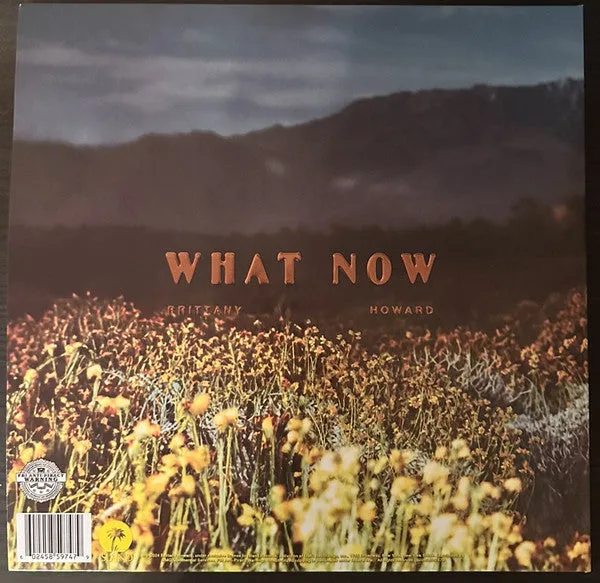 Brittany Howard ~ What Now