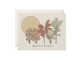 Desert Plants Thank You Card