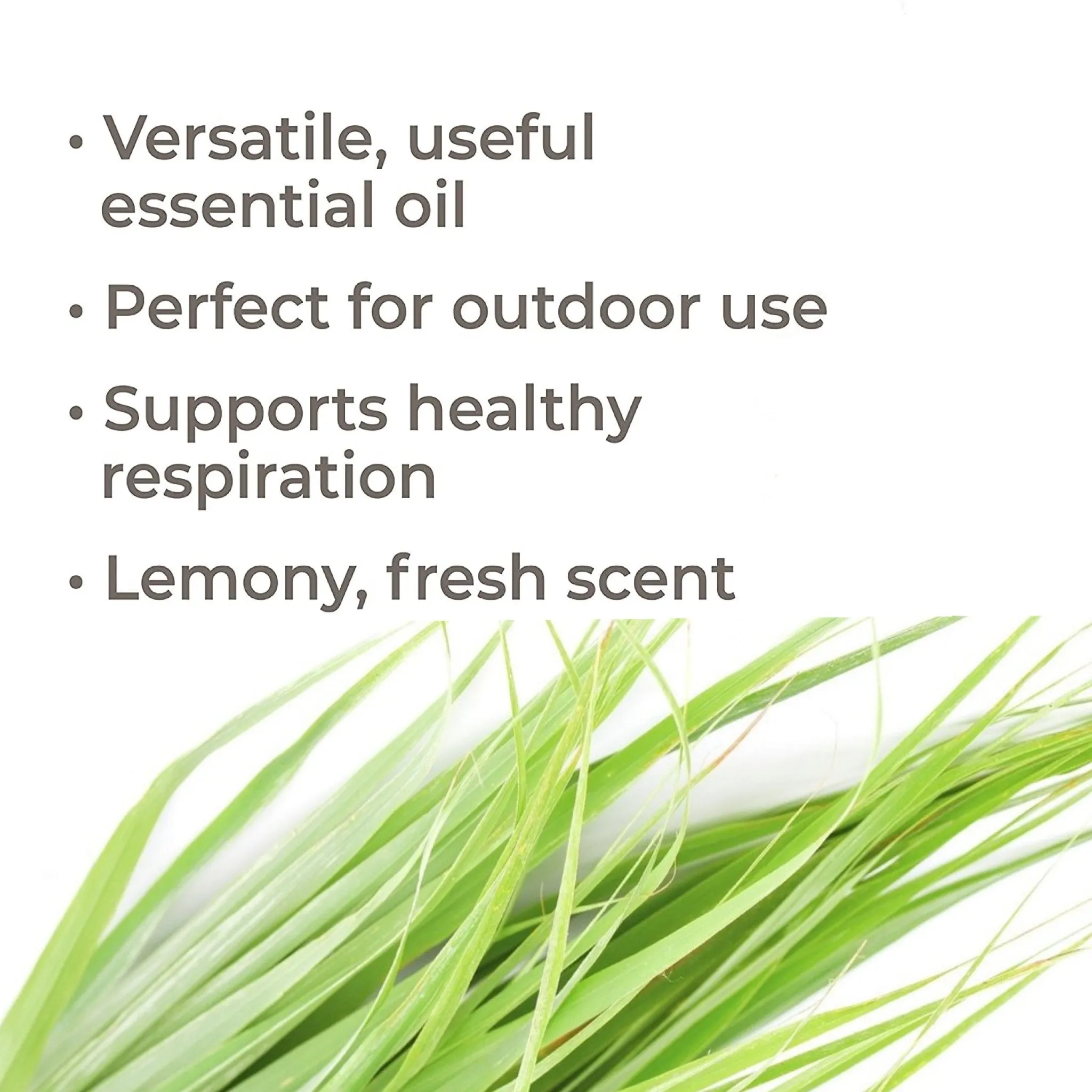 Plant Therapy Citronella Organic Essential Oil