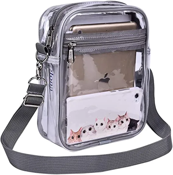 Rachel Clear Crossbody Purse in Grey