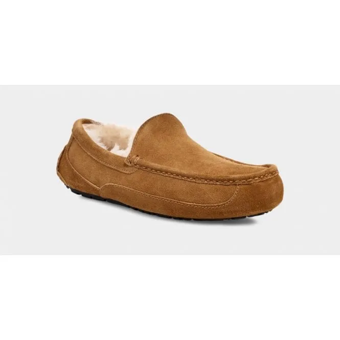 UGG Mens Ascot Slipper in Chestnut