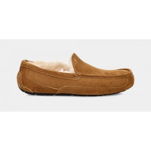 UGG Mens Ascot Slipper in Chestnut