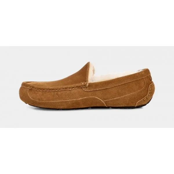 UGG Mens Ascot Slipper in Chestnut