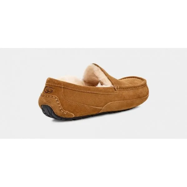 UGG Mens Ascot Slipper in Chestnut