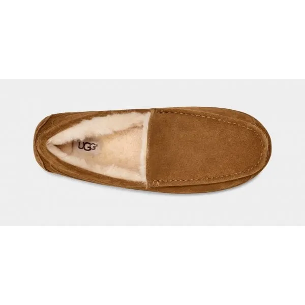 UGG Mens Ascot Slipper in Chestnut