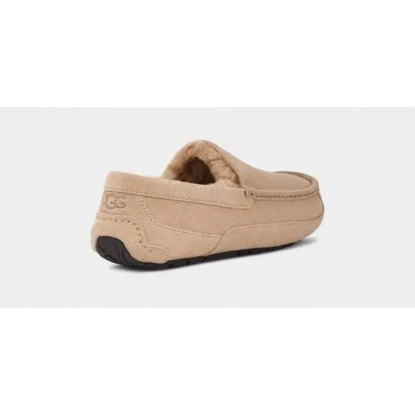 UGG Mens Ascot Slipper in Sand