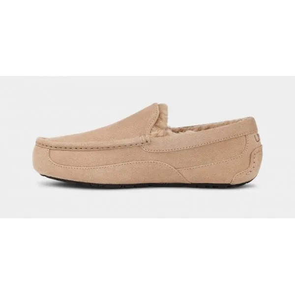 UGG Mens Ascot Slipper in Sand