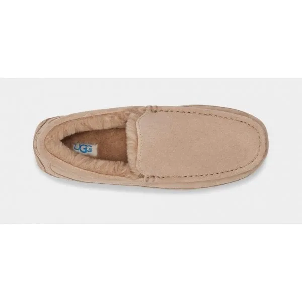 UGG Mens Ascot Slipper in Sand